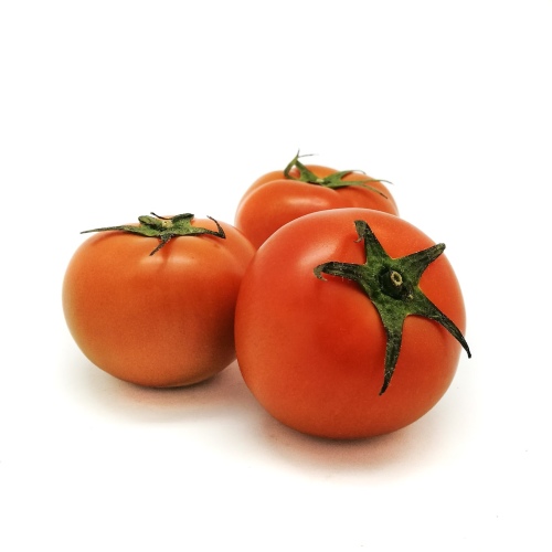 Tomato Green House *